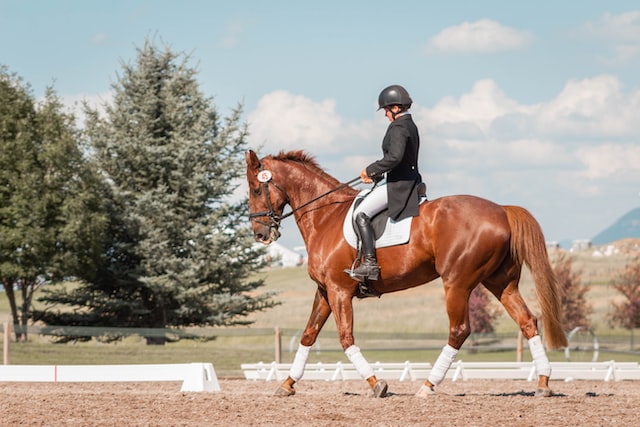 woman in black helmet riding brown horse